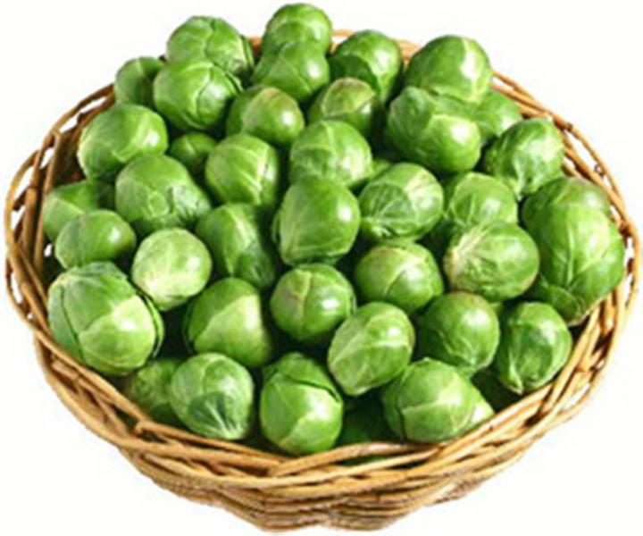 Heirloom Brussels sprouts EARLY HALF TALL 100 se...